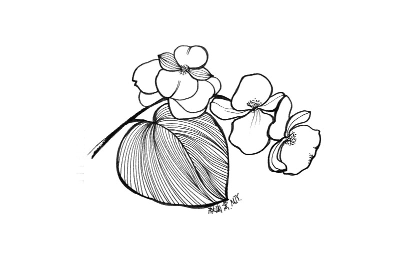 9张小花简笔画图片漂亮简单-图2