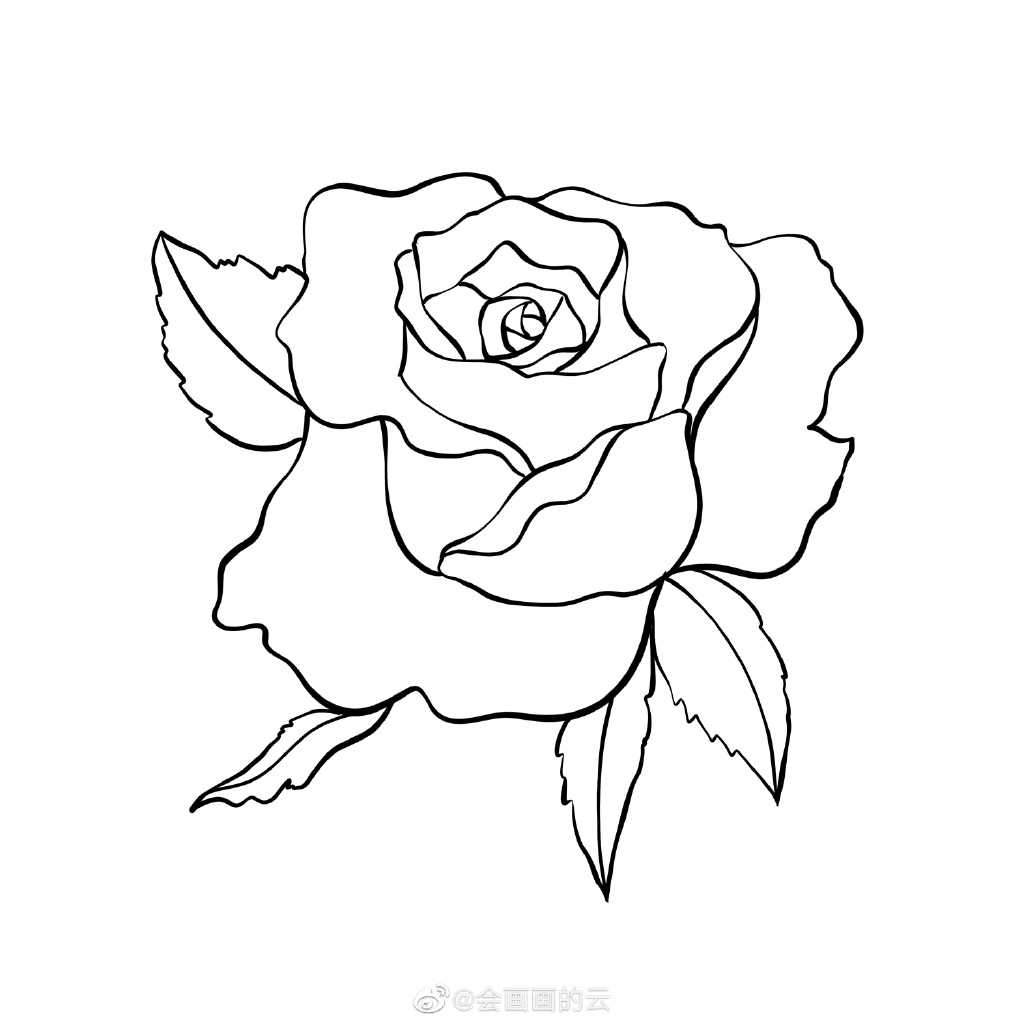 一学就会的简笔画 玫瑰花简笔画画法步骤-图7