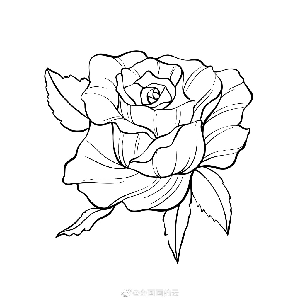 一学就会的简笔画 玫瑰花简笔画画法步骤-图8