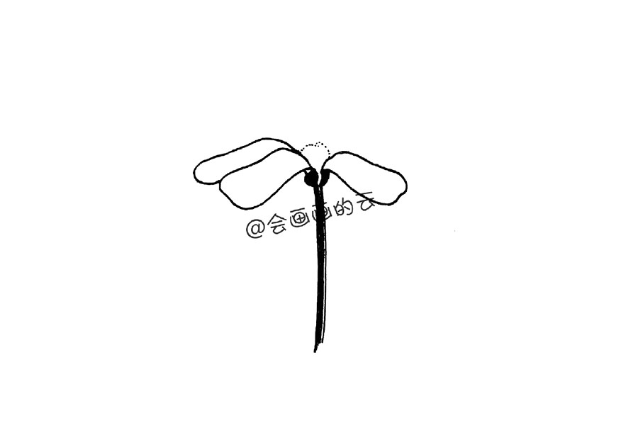 零基础简笔画 一朵漂亮的小花花-图1