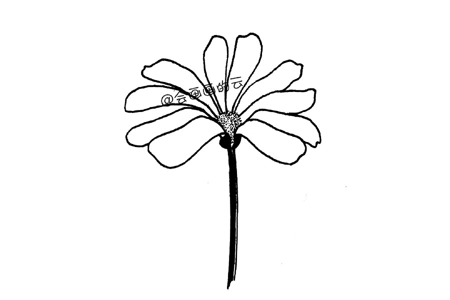 零基础简笔画 一朵漂亮的小花花-图3