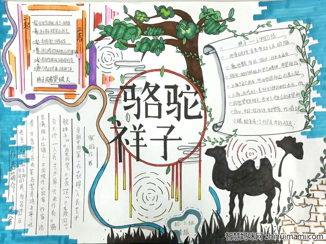 关于文学作文《骆驼祥子》的主题手抄报-图5