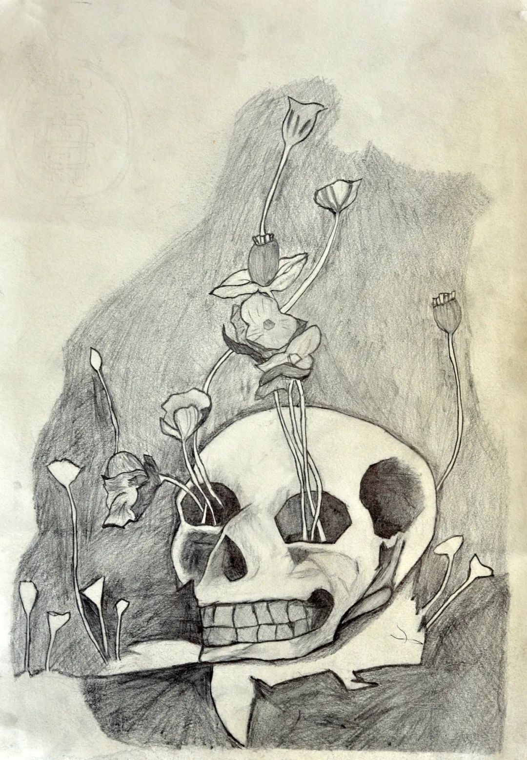 步骤5：《禁毒》