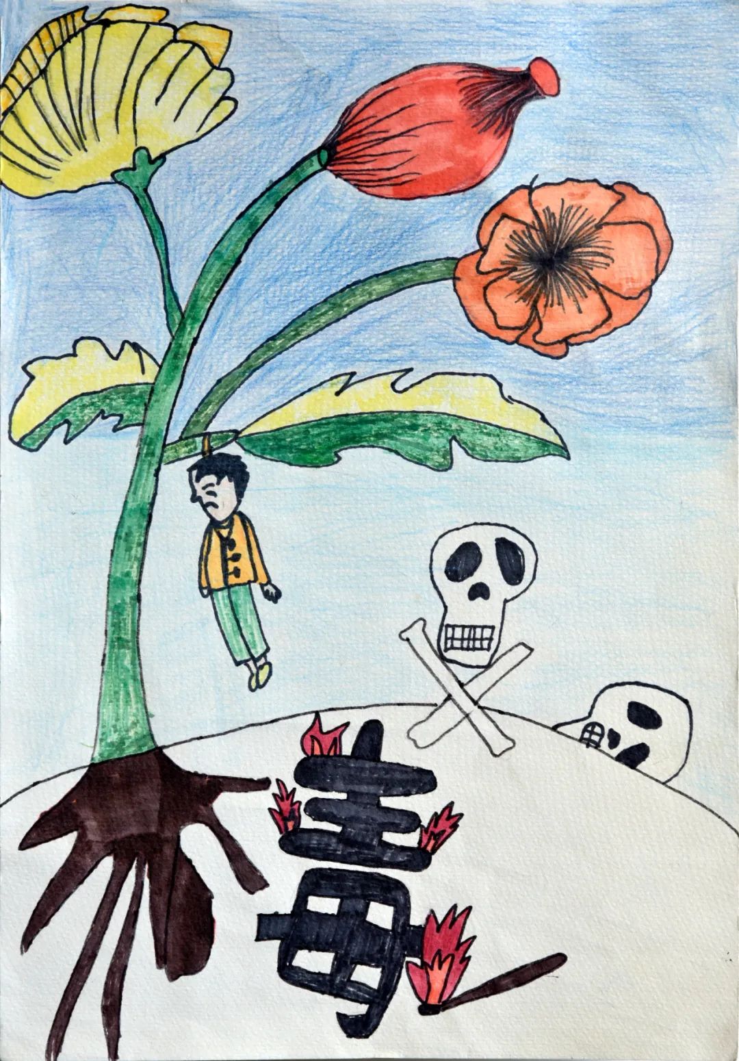 步骤2：9《珍爱生命》