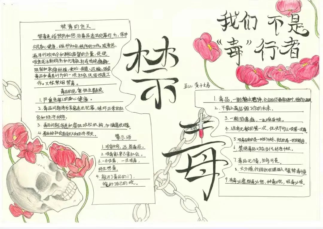7张漂亮的2022禁毒手抄报-图5