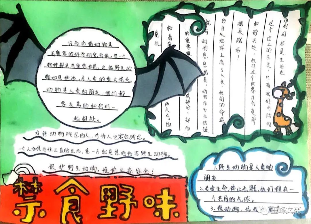 爱护鸟类的手抄报简单好画（8张）-图1