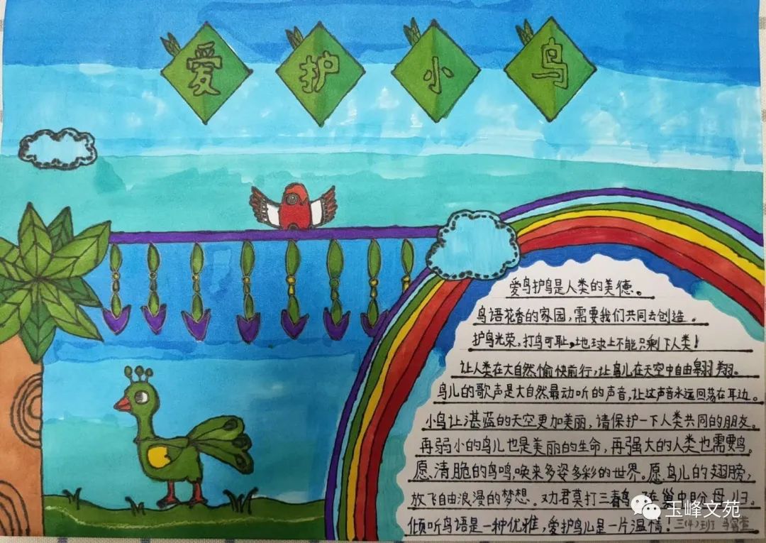 爱护鸟类的手抄报简单好画（8张）-图8