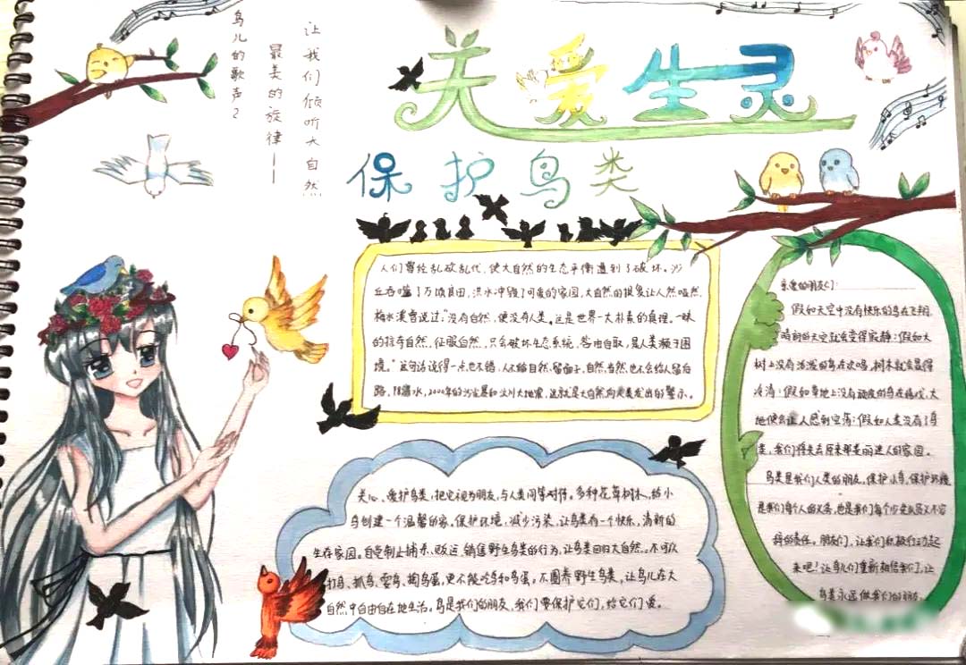”大家小家是一家 爱鸟护鸟靠大家“护鸟主题手抄了-图2