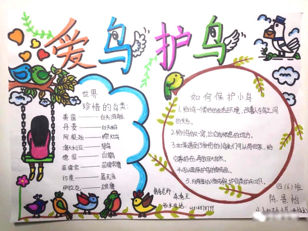 ”大家小家是一家 爱鸟护鸟靠大家“护鸟主题手抄了-图4