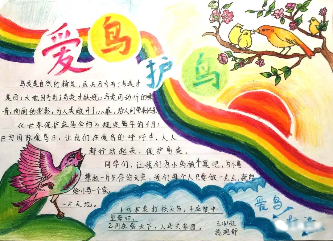 ”大家小家是一家 爱鸟护鸟靠大家“护鸟主题手抄了-图5