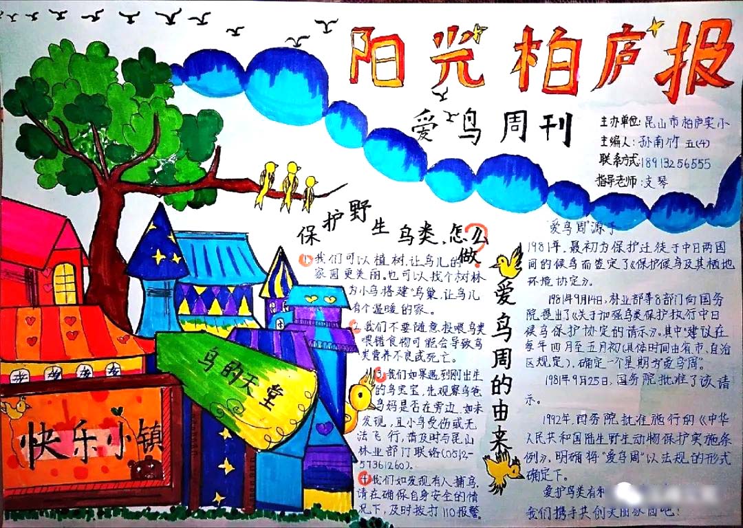 ”你我携手保护鸟类“爱鸟护鸟宣传手抄报6张-图1