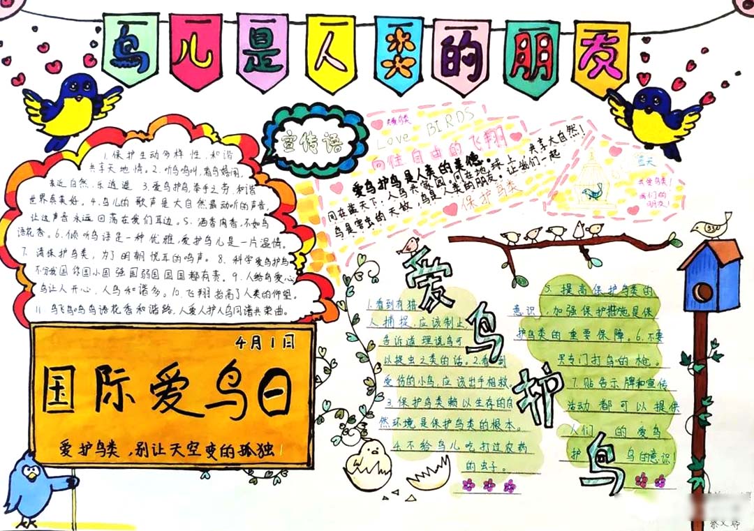 ”你我携手保护鸟类“爱鸟护鸟宣传手抄报6张-图4