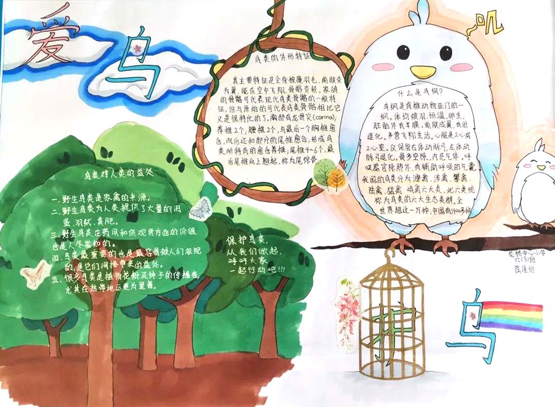 保护动物手抄报