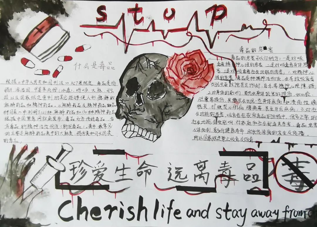 拒绝毒品主题手抄报5张-图3