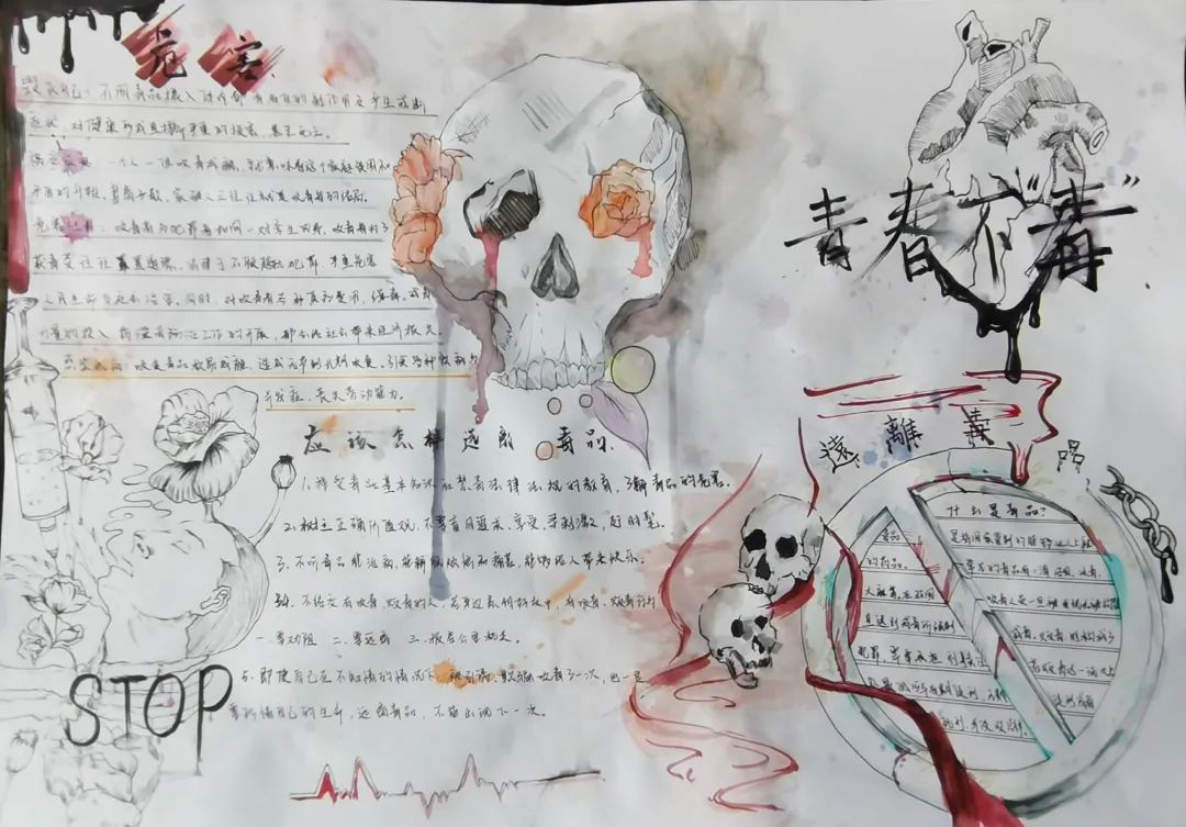 5张简单漂亮的小学生禁毒手抄报-图2