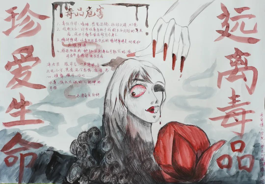 5张简单漂亮的小学生禁毒手抄报-图4