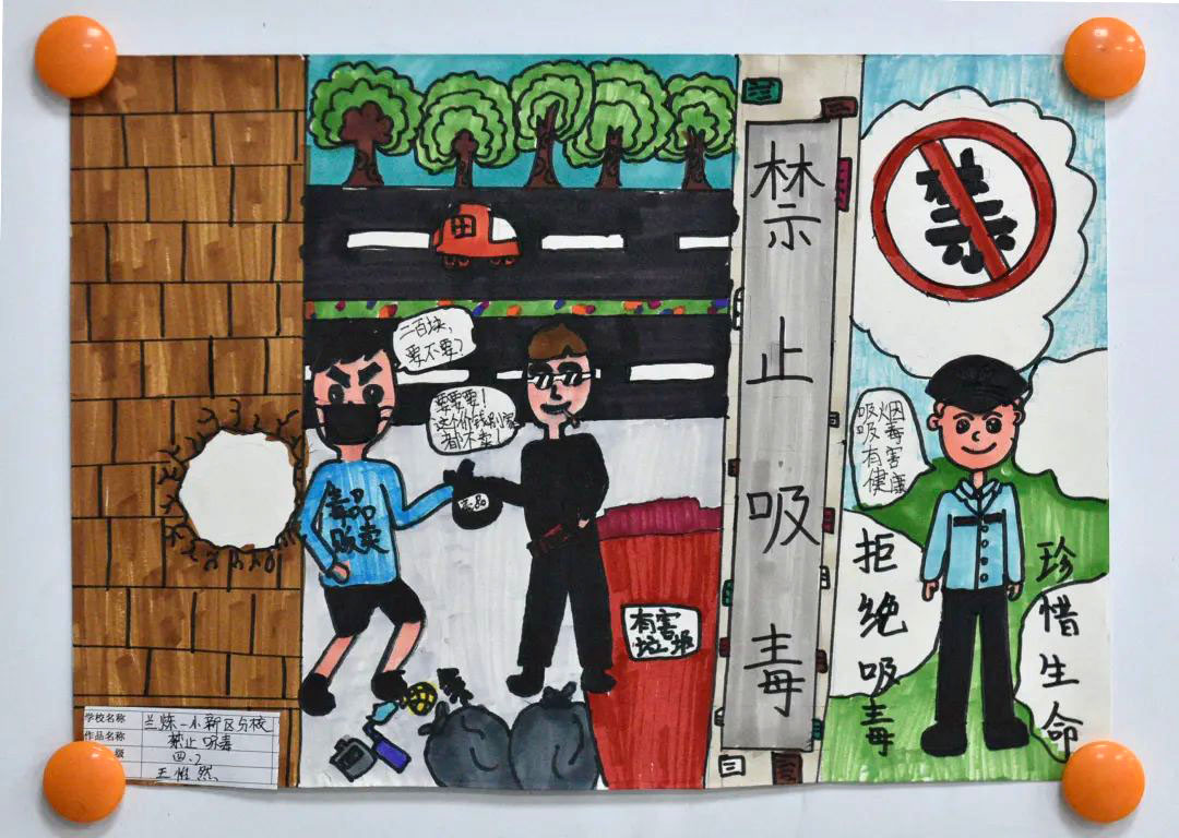 5张简单漂亮的禁毒教育绘画作品-图4