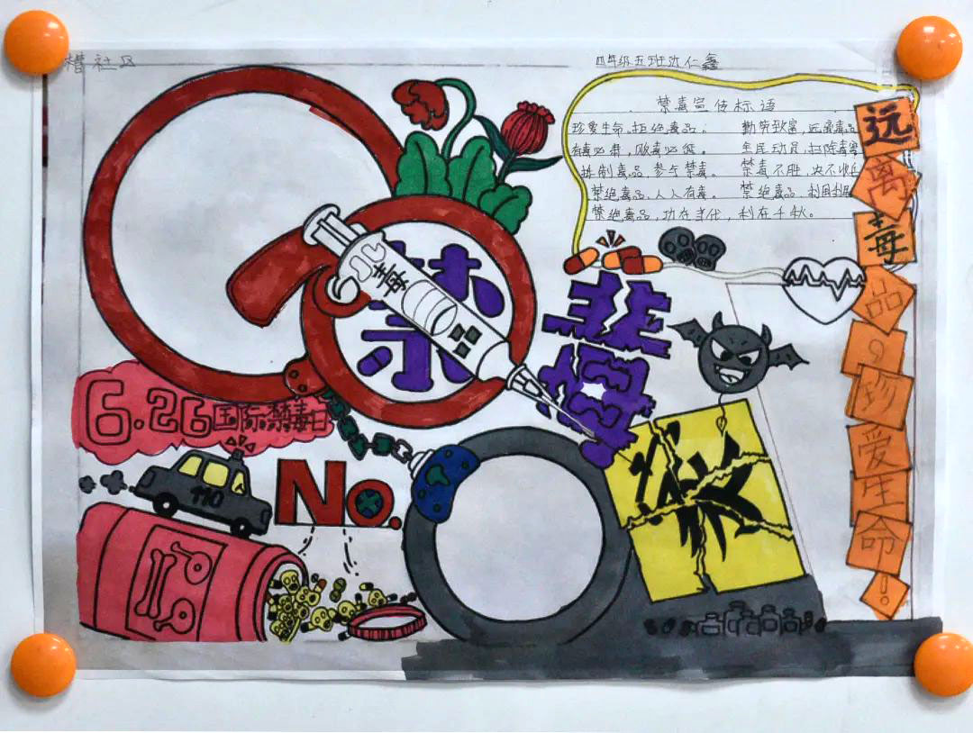 拒绝毒品拥抱阳光 简单又漂亮的小学生禁毒手抄报7张-图6