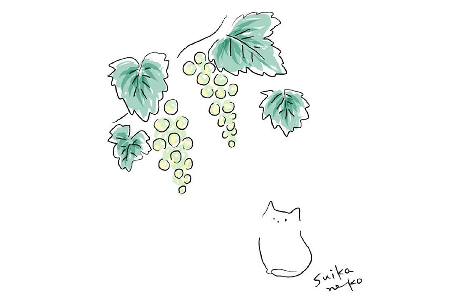 猫咪与花儿简笔画，又简单又美好-图3