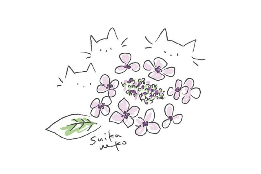 猫咪与花儿简笔画，又简单又美好-图5