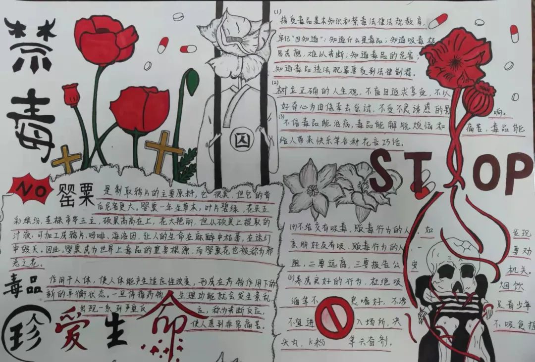 2022禁毒手抄报怎么画好看-图4