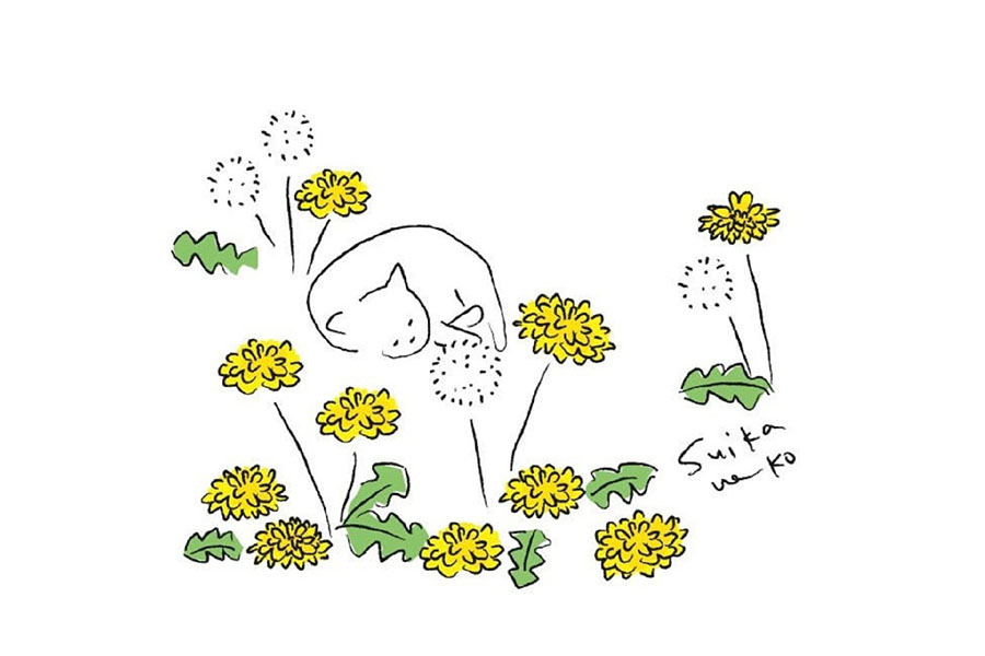 又简单又美好猫咪与花儿简笔画图片-图4