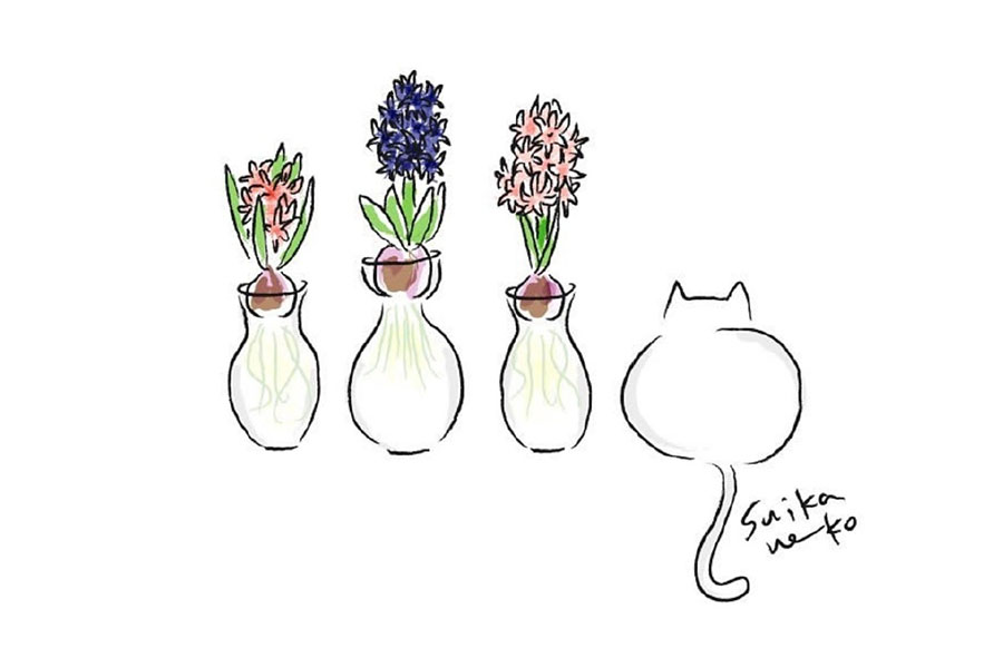又简单又美好猫咪与花儿简笔画图片-图8