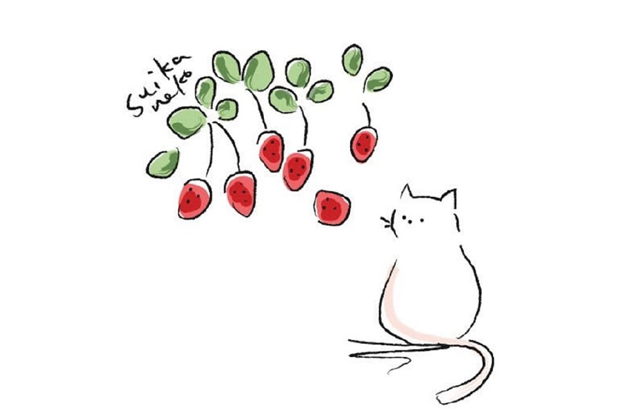 又简单又美好猫咪与花儿简笔画图片-图9