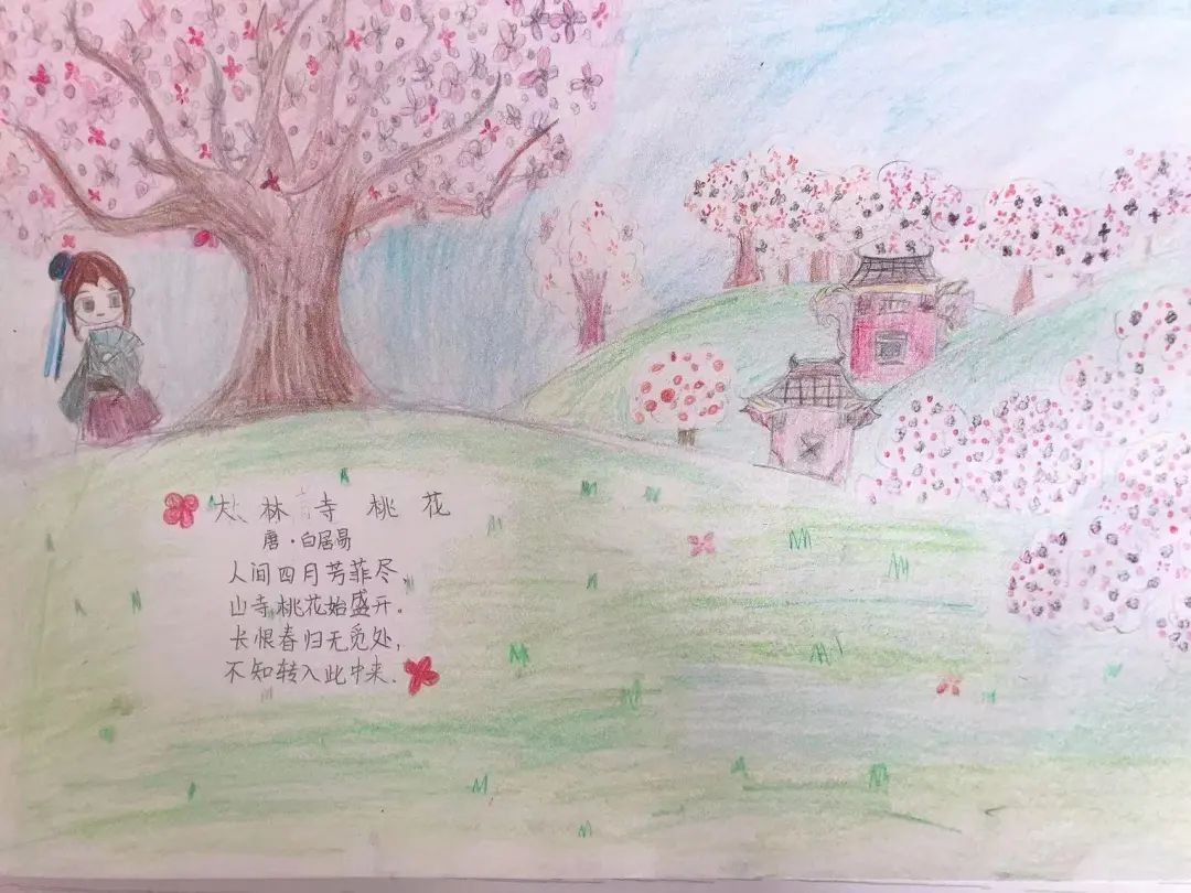 小学生大林寺桃花诗配画作品两张-图2