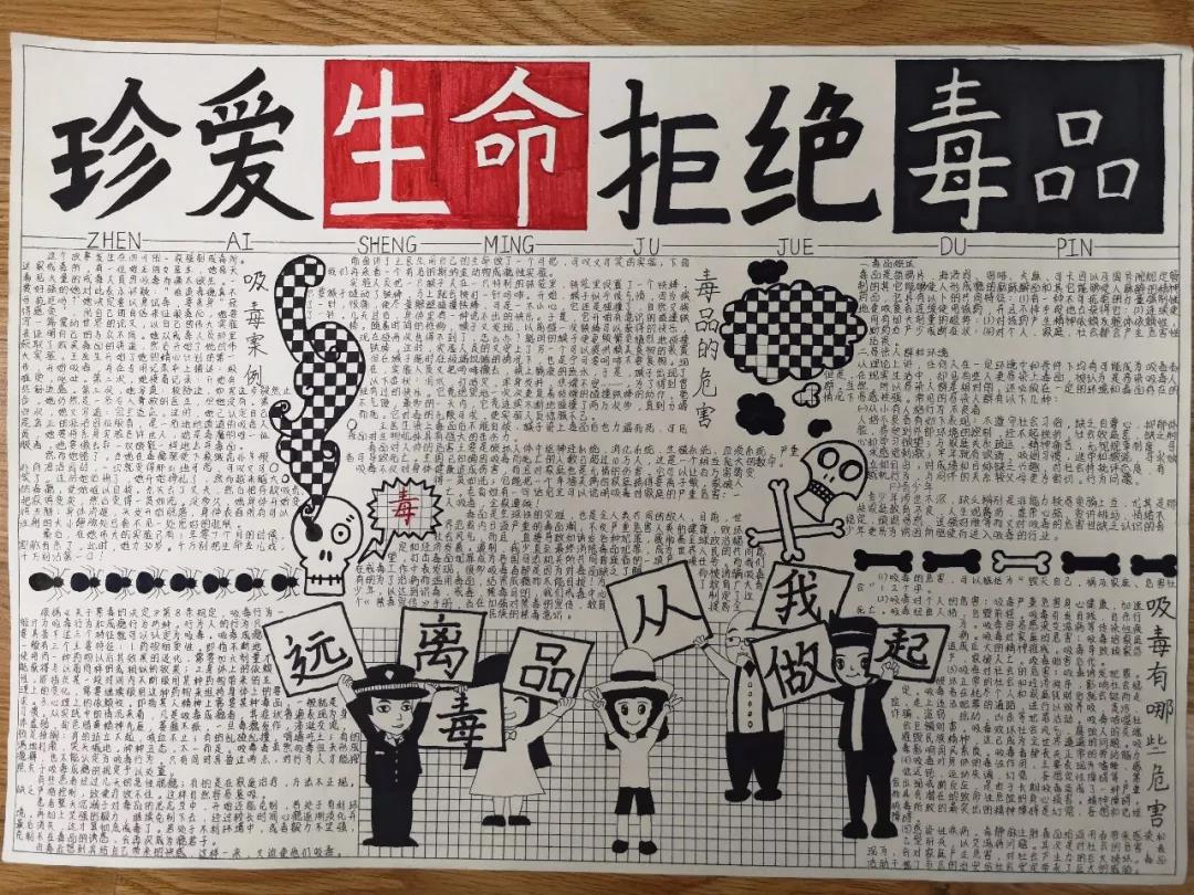 简单漂亮的禁毒知识手抄报5张-图5