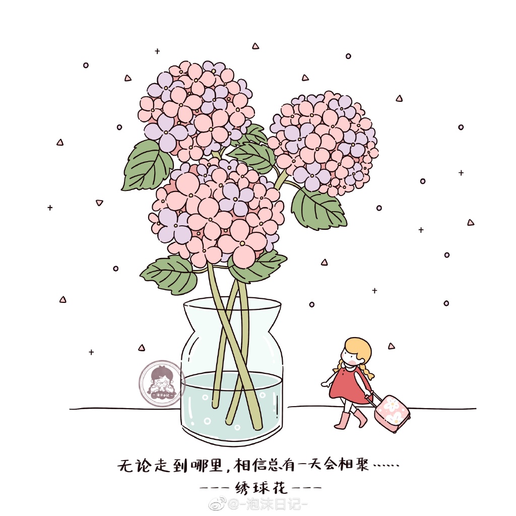 花花与女孩 静静地聆听花开的声音，和花花们来一场心灵的对话！-图8