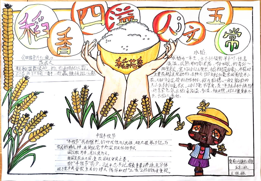 “稻香四溢 人文五常”节约粮食手抄报简单-图1