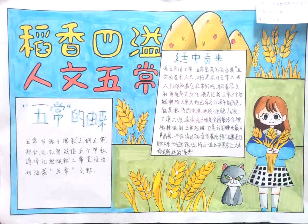 7张关于走进五常的手抄报精选作品-图3