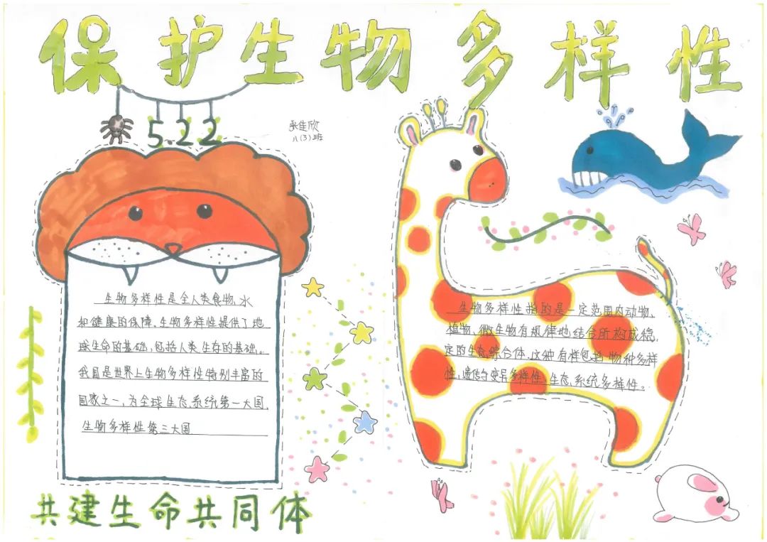 2022年“国际生物多样性日”主题手抄报作品-图2