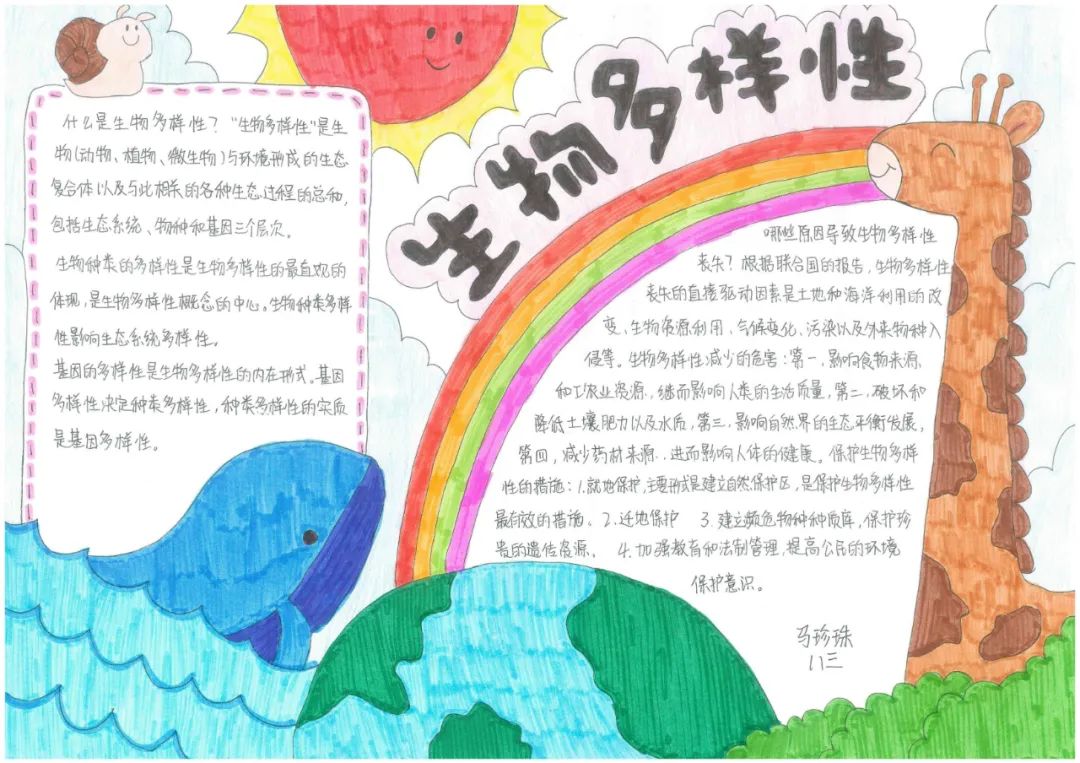 2022年“国际生物多样性日”主题手抄报作品-图3