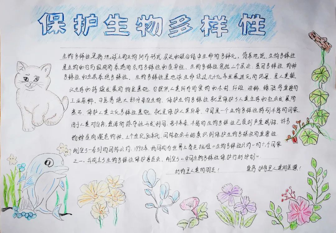 保护生物多样性手抄报获奖作品-图3