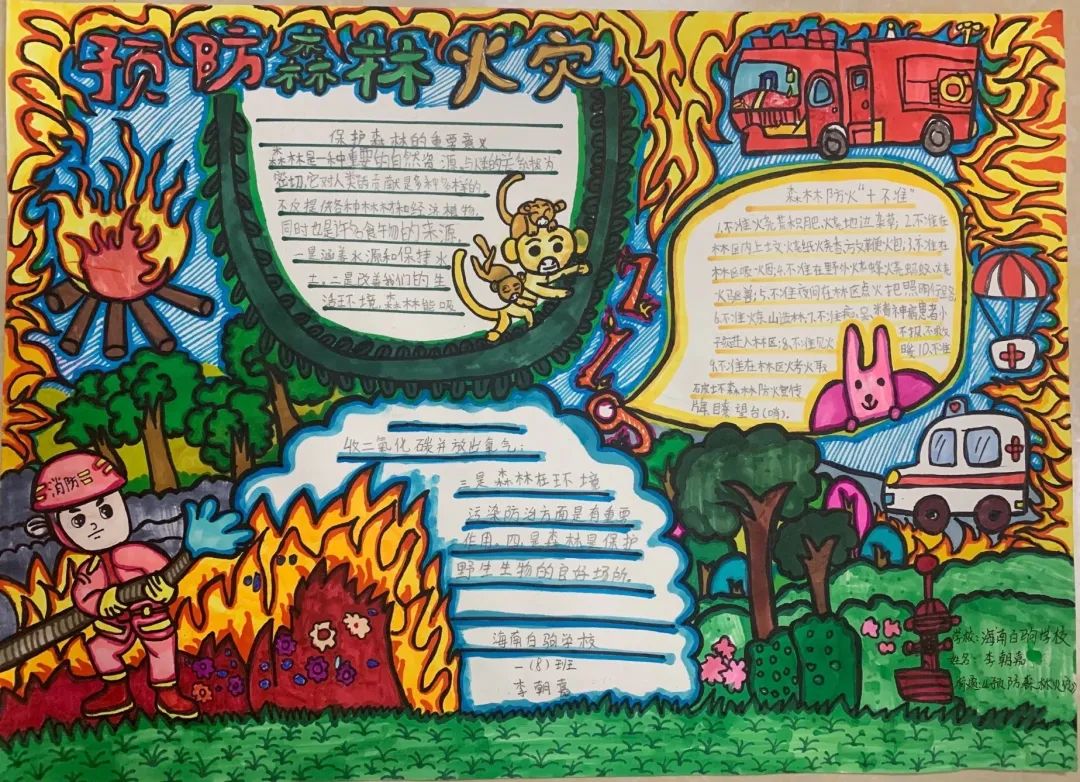 中小学生防灾减灾主题手抄报获奖作品-图2