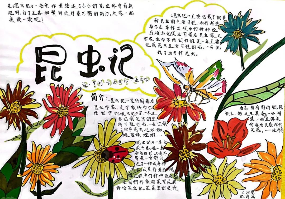 小学生好看的我爱阅读手抄报-图3