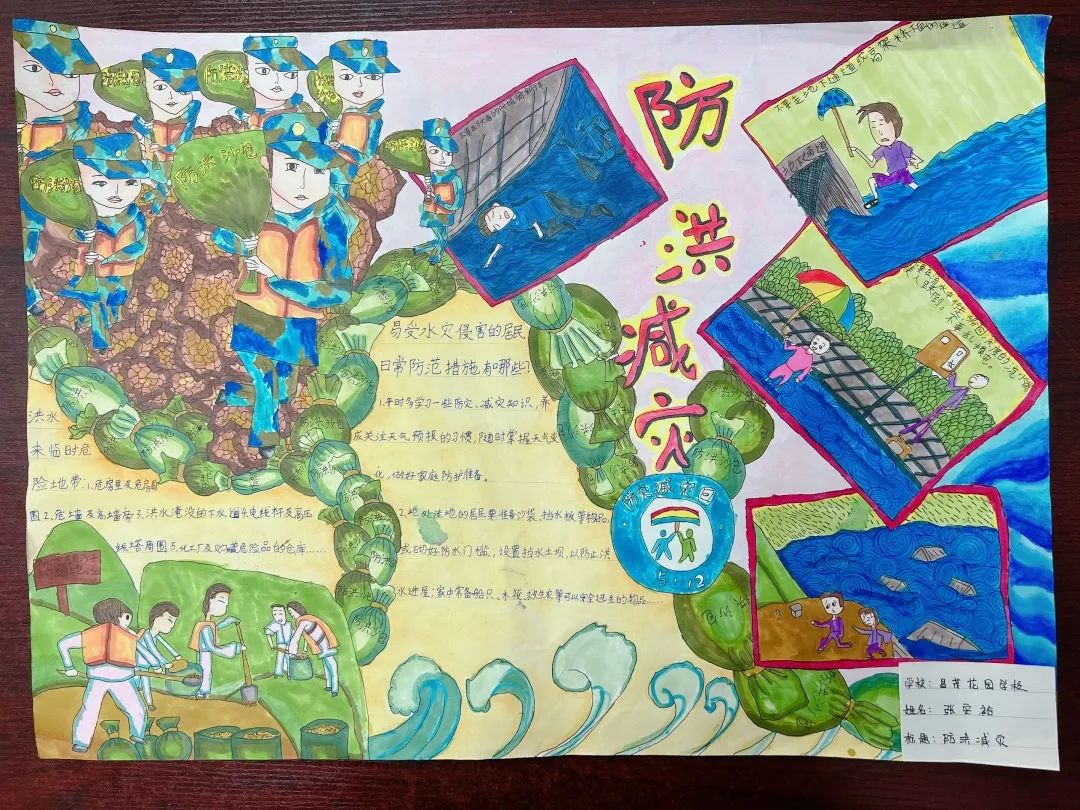 防灾减灾 珍爱生命手抄报一等奖（可下载打印）-图4