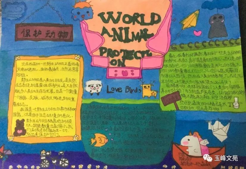 “爱鸟护鸟,守护空中家园”手抄报简单又漂亮-图3