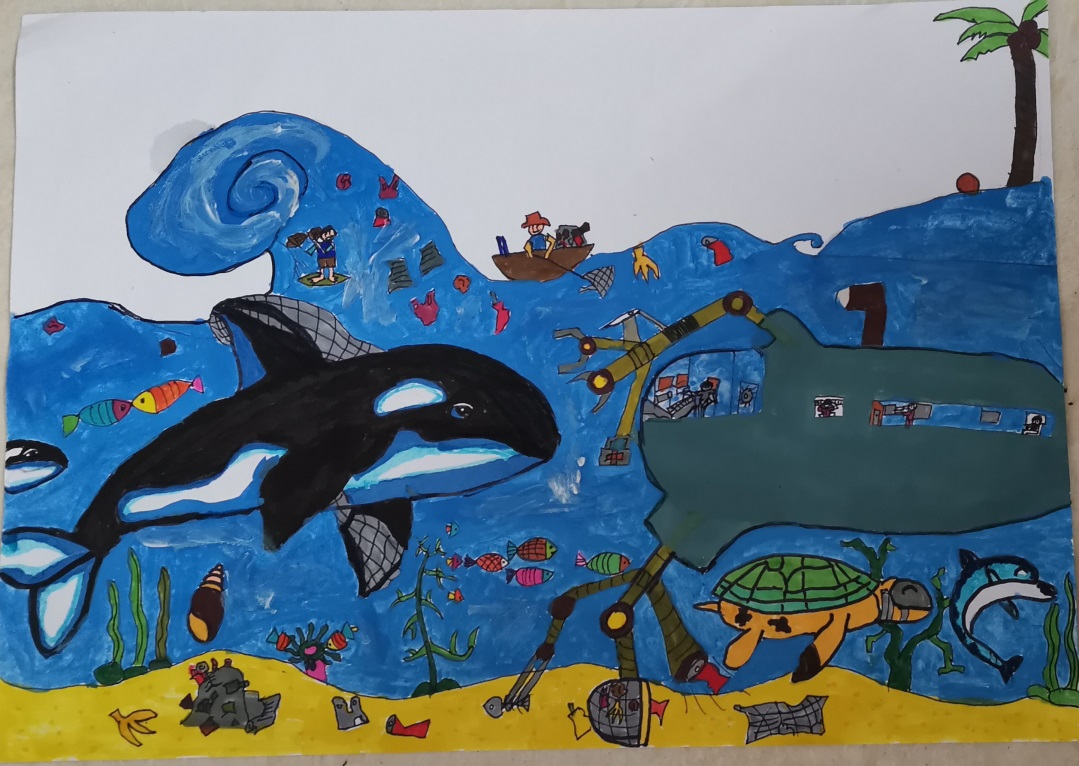 步骤6：保护海洋