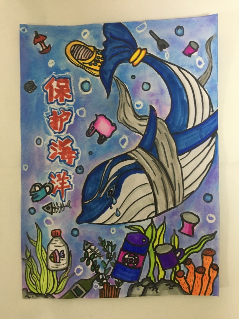 步骤5：保护海洋