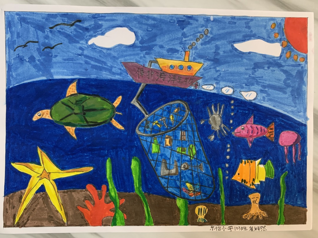 步骤7：保护海洋生物