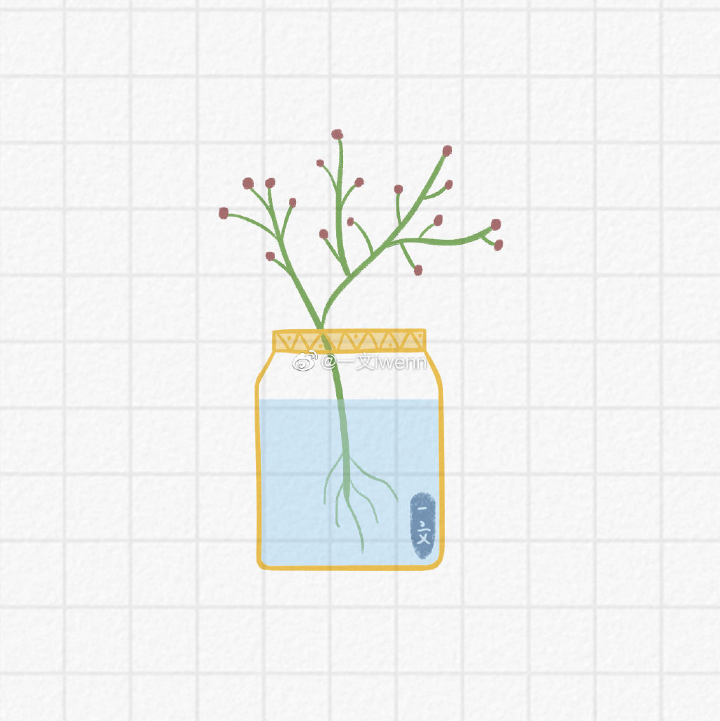 小清新的水培植物简笔画图片-图4
