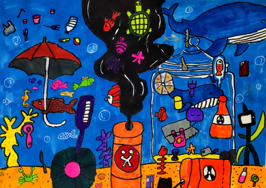 步骤4：保护海洋生态环境