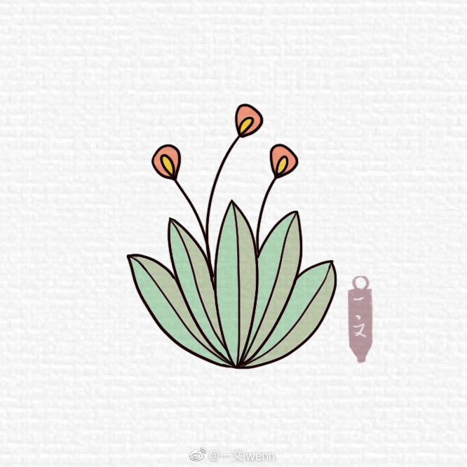 一组多姿多彩的小花简单又漂亮-图5