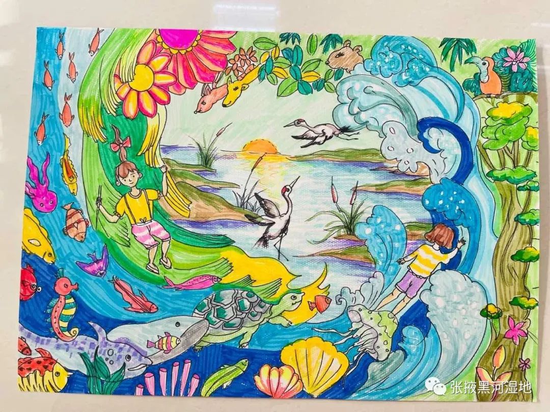 步骤4：湿地，我们共同的乐园——靳蕊嘉