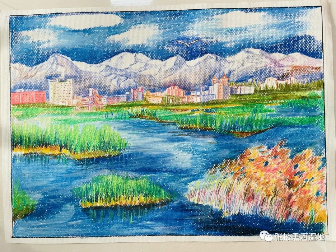 步骤1：湿地胜景美如画——杨钰涵