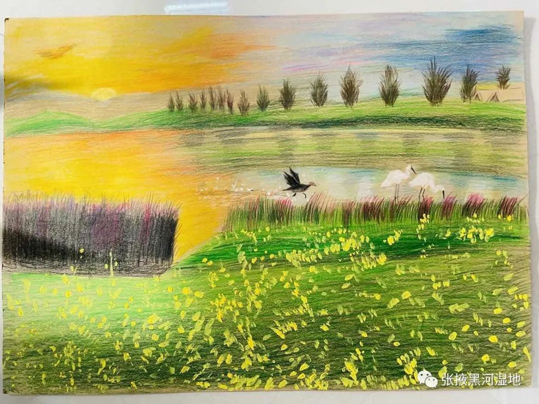 步骤3：湿地精灵——薛源