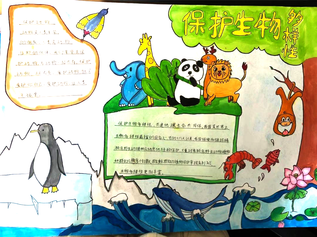 ”善待生物 和谐生存“保护生物多样性主题手抄报精选-图2